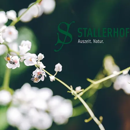 Hotel Stallerhof 2*