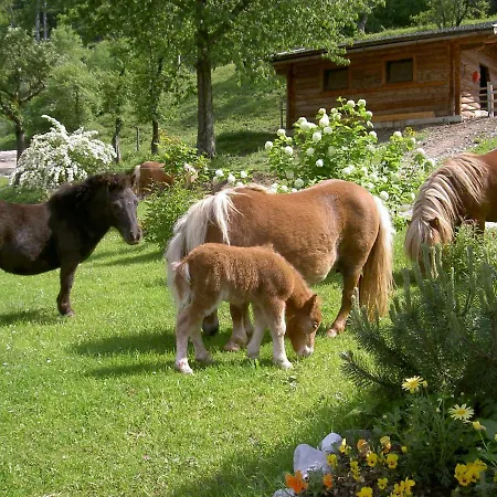 Stallerhof 2* Голлинг-на-Хальцахе