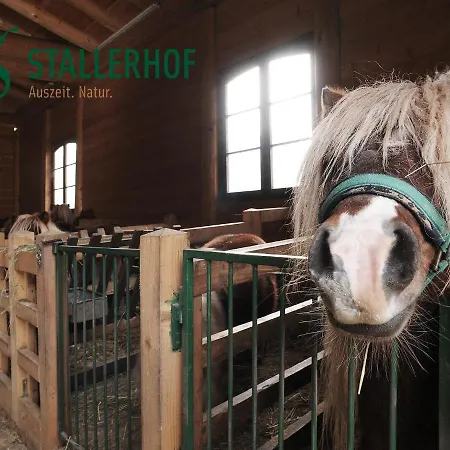 Hotel Stallerhof Golling an der Salzach