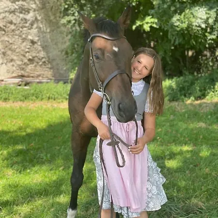 Stallerhof Отель Голлинг-на-Хальцахе