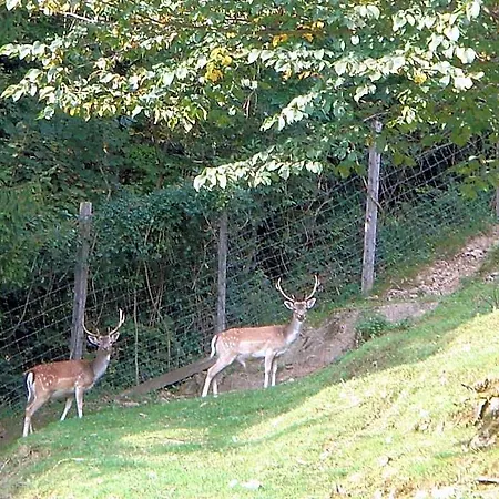 Stallerhof Golling an der Salzach