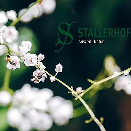 Stallerhof