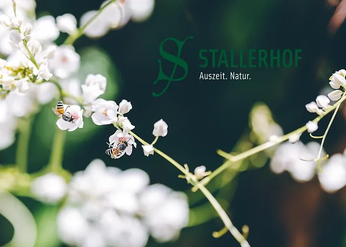 Hotel Stallerhof 2*