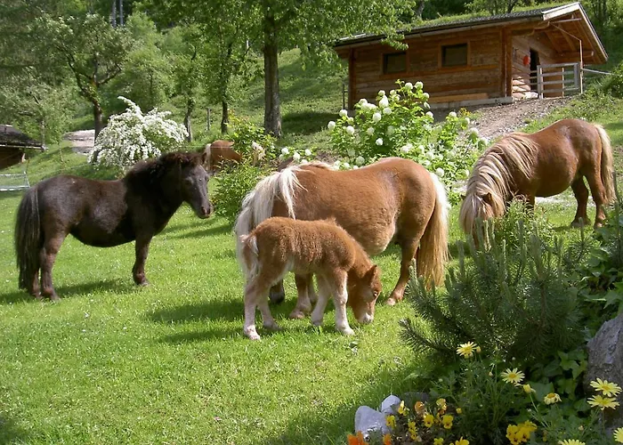 Stallerhof 2* Голлинг-на-Хальцахе