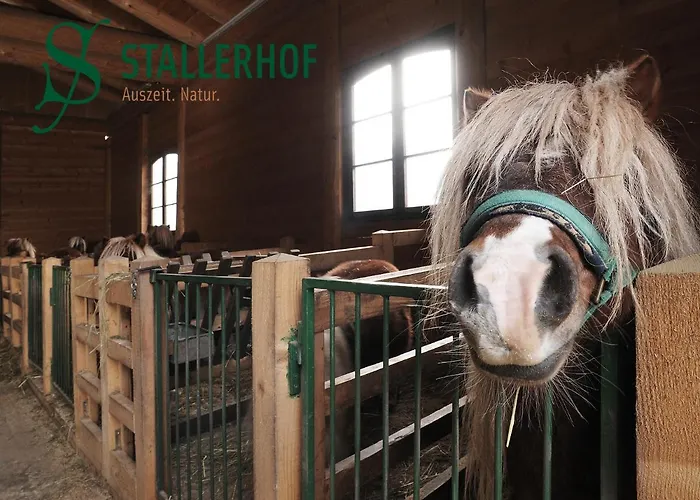 Hotel Stallerhof Golling an der Salzach