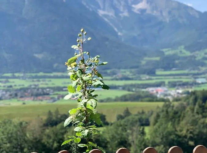 Stallerhof 2* Golling an der Salzach